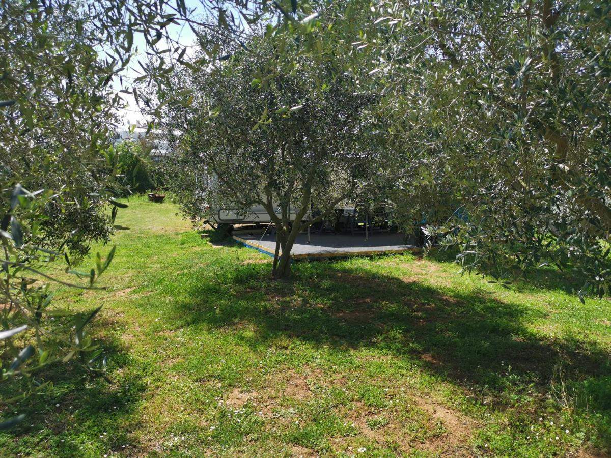Large Camper In The Olive Grove Hotel Banjole Eksteriør billede