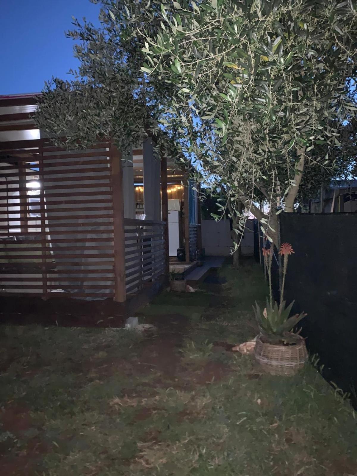 Large Camper In The Olive Grove Hotel Banjole Eksteriør billede